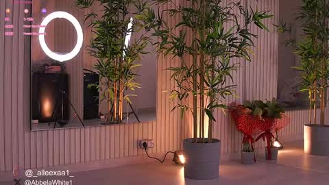 Alexa online show from 02.04.25