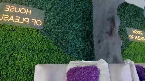 A B B Y online show from 02.13.25