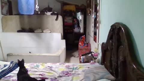 Snapshot of abbyasher chatting on 01.26.25 Abby online show from 01.26.25