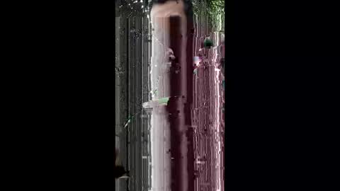 abdulwaris7072 online show from 03.15.26