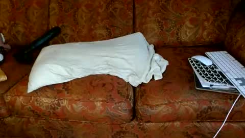 Snapshot of acacias2022 chatting on 11.18.25 aCACiAs2022 online show from 11.18.25