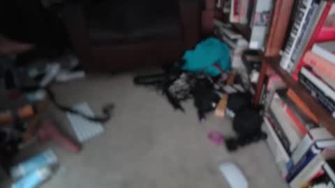 Snapshot of acacias2022 chatting on 03.01.26 aCACiAs2022 online show from 03.01.26