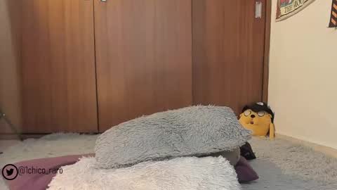 Jhonny online show from 05.05.26