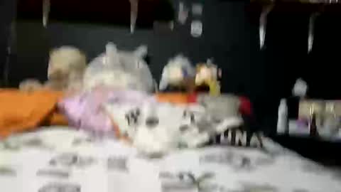 Snapshot of adam_and_abby_ chatting on 02.28.25 adam and abby online show from 02.28.25