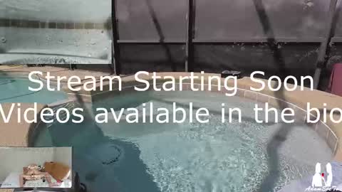 Snapshot of adamevetv chatting on 03.02.25 Adam And Eve online show from 03.02.25