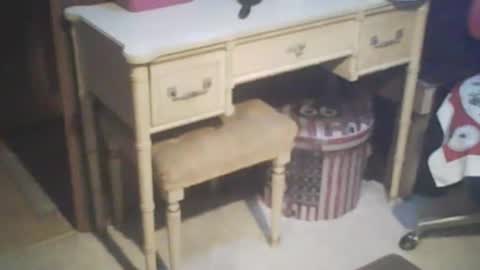 adamsny online show from 02.21.25