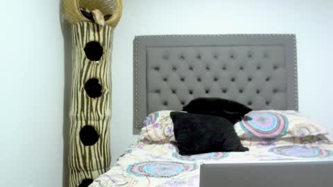 eva online show from 01.15.25