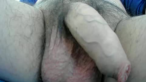 adi2019 online show from 01.13.25