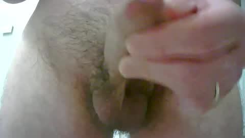 adi2019 online show from 11.24.25