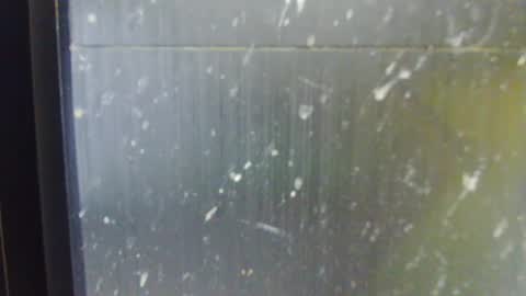 Snapshot of adiraxo chatting on 10.13.25 adiraxo online show from 10.13.25