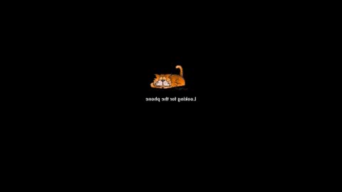 affectionateessay627 online show from 02.20.25