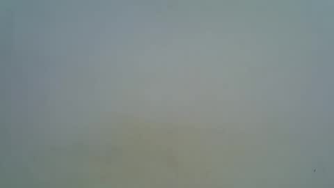 Snapshot of afronubians chatting on 03.05.25 afronubians online show from 03.05.25