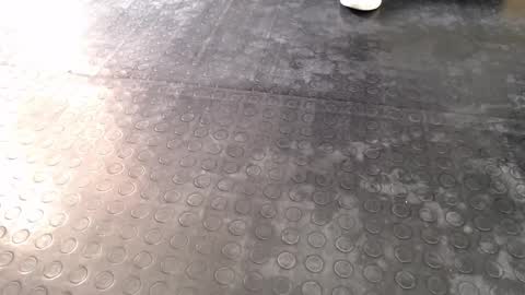  Miss Agata  online show from 12.16.25