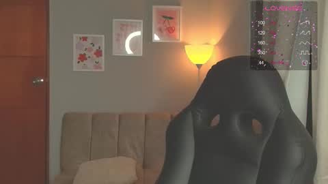 Cat online show from 03.04.26