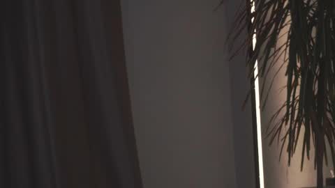 May online show from 04.19.26