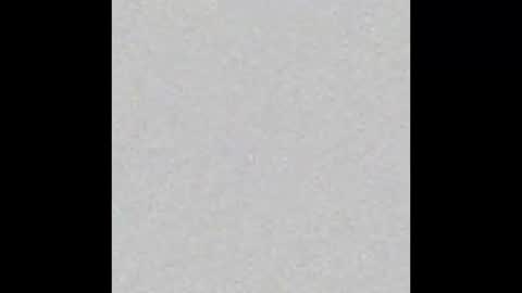 Polly online show from 01.07.26