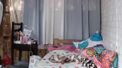 Snapshot of agentcummer_28 chatting on 12.31.24 Markii online show from 12.31.24