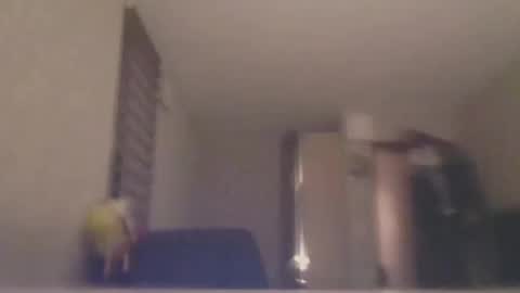 Snapshot of ahbehbi12 chatting on 03.10.25 ahbehbi12 online show from 03.10.25