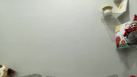 Aile online show from 12.29.24