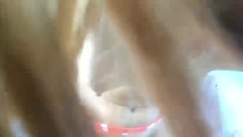 aisha_violeht online show from 02.25.26