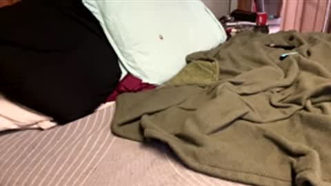 Snapshot of ajb5187517 chatting on 01.05.26 ajb5187517 online show from 01.05.26