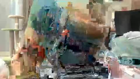 Snapshot of akirazayy chatting on 03.01.26 Akira Zay online show from 03.01.26