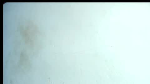 alahia66 online show from 04.21.26
