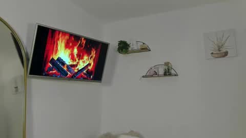   online show from 06.02.26