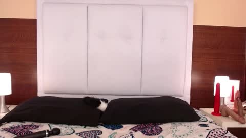 Snapshot of alanagh_ chatting on 10.25.25 alana online show from 10.25.25