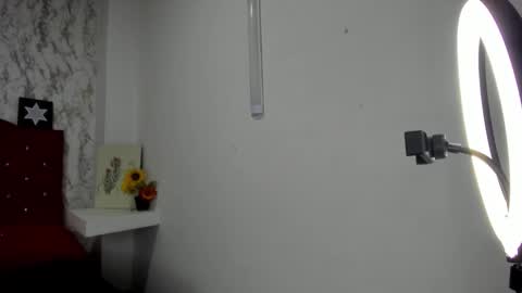 ALEJANDRA JAMES online show from 05.04.26