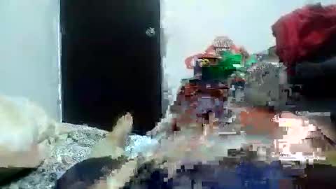 Snapshot of alexamdergal chatting on 01.11.25 Alexamdergal online show from 01.11.25