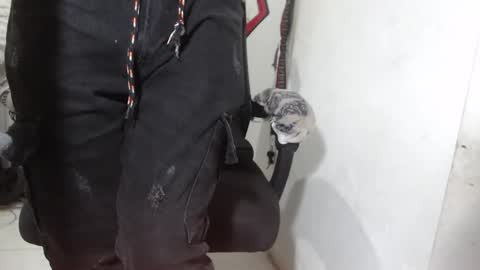 Snapshot of alexamdergal chatting on 03.12.26 Alexamdergal online show from 03.12.26