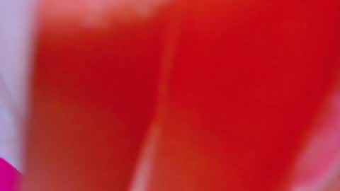 Snapshot of alexandramaravilla chatting on 02.04.25 ALEXANDRA online show from 02.04.25