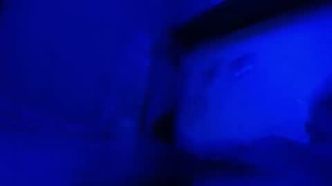 alexboy5014 online show from 05.17.26