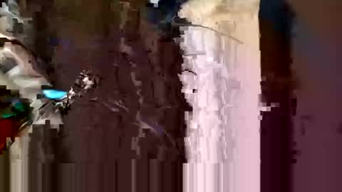 Snapshot of alexey932 chatting on 11.10.25 alexey932 online show from 11.10.25