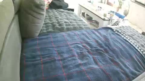 Doggystyle online show from 05.02.26