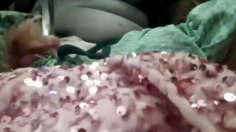 Snapshot of alexis0007754689 chatting on 01.06.26 alexis0007754689 online show from 01.06.26