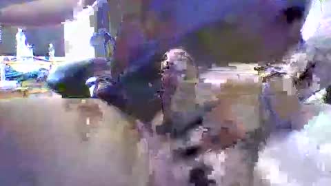 alexocolumb online show from 02.02.26