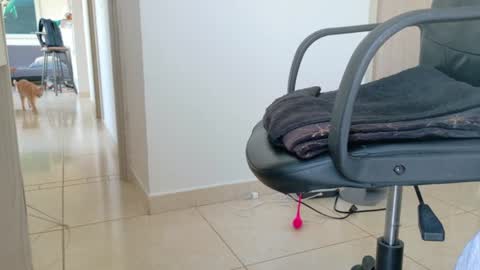 Alex online show from 07.21.26