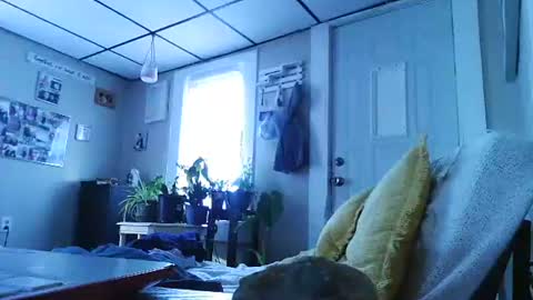 Snapshot of ali_tayler chatting on 11.08.25 ali_tayler online show from 11.08.25