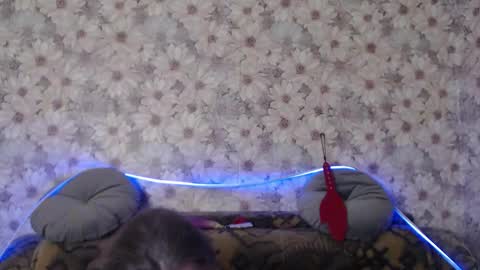 Snapshot of alice_longstocking chatting on 12.22.25 alice longstocking online show from 12.22.25