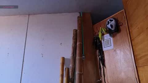 alice_randyy online show from 02.12.26