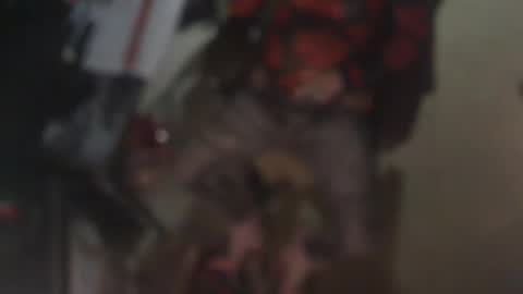 Snapshot of aliceleemcgee chatting on 02.22.26 aliceleemcgee online show from 02.22.26