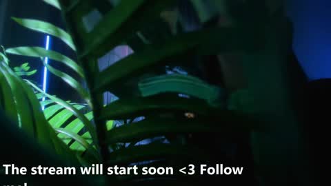 Snapshot of alicia_x_art chatting on 12.02.24 Alicia Lici  online show from 12.02.24