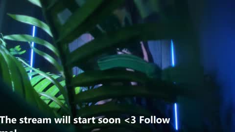 Snapshot of alicia_x_art chatting on 01.02.25 Alicia Lici  online show from 01.02.25