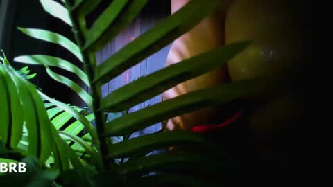 Snapshot of alicia_x_art chatting on 01.02.25 Alicia Lici  online show from 01.02.25