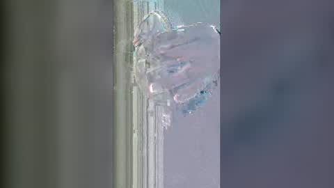 alisherof online show from 01.13.26