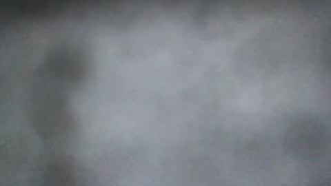 all_most_sane online show from 08.04.26