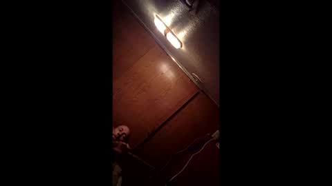 Snapshot of allister666pitfiend chatting on 02.13.26 allister666pitfiend online show from 02.13.26