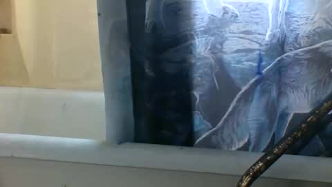 Snapshot of allwolf0323 chatting on 11.06.25 allwolf0323 online show from 11.06.25